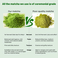 Poudre de créatine matcha AegleWell pré-entraînement, énergie naturelle et soutien musculaire, récupération et concentration après l'entraînement