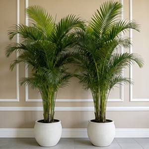 2 künstliche Palmen |   Realistische tropische Pflanzen mit üppigen grünen Blättern, wartungsfrei für Innen-/Außendekoration - Product Image 4