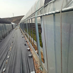 A basso costo di plastica fungo serra con il sistema di controllo del clima - Product Image 2