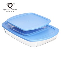 Plats de cuisson en verre borosilicate de haute qualité, durables, résistants au four, écologiques, rectangulaires, à fond épais, compatibles avec les cuisinières à gaz