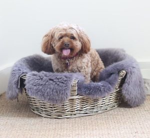 ペット用羊皮ベッド（犬用敷物、猫用敷物）ニュージーランド・オーストラリア産の本物の羊皮毛皮素材 - Product Image 2
