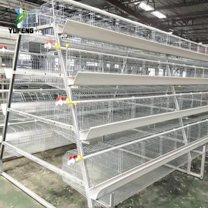Sistema de Jaulas de Batería Manuales Tipo A para 96/128 Aves, Diseño de Fábrica, para <span class=keywords><strong>Gallinas</strong></span> Ponedoras - Product Image 3