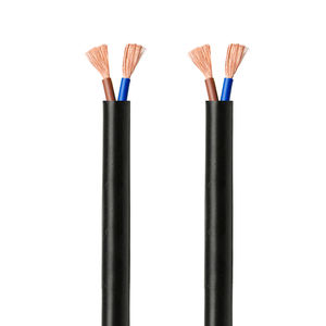 RIXIN H05VV-F 10 AWG固体PVC銅芯フレキシブルシースケーブル2芯300/300V家庭用電化製品ケーブルアセンブリ - Product Image 2