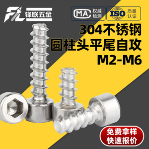 Tornillos Autorroscantes de Cabeza Cilíndrica de Acero Inoxidable 304 de Tiancheng Hardware Alliance, M2 M3 M4 M5 M8 M10 M12 M16 M20 M30 - Product Image 4