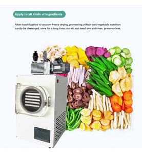 Secador de <span class=keywords><strong>frutas</strong></span> y verduras al vacío, máquina de congelación y secado al vacío - Product Image 6