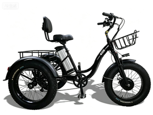 Triciclo Eléctrico Ligero y Portátil para Desplazamientos Diarios y Entrega de Carga - Product Image 6