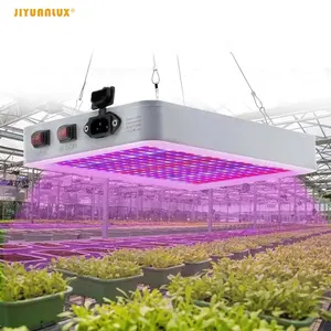 LED Grow Light 2000W Phytolamp 2835 Led chip luce vegetale per pianta da interno AC85-265V interruttore a 2 modalità per serra