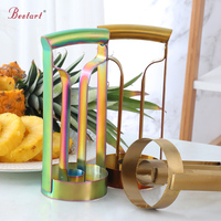 Keuken Accessoires Rvs Vlees Extractor Handmatige Bediening Ananas Dunschiller Cutter Fruit Groente Tool