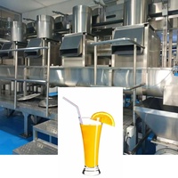 Betaalbare Automatische Cip Snelle Verwerking Vruchtensap Maken Machine Productielijn