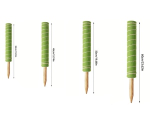 Tiges de mousse de 28,7 pouces pour plantes grimpantes, supports en tissu de mousse pour plantes grimpantes d'intérieur et d'extérieur, croissance verticale, attaches en <span class=keywords><strong>corde</strong></span> de sisal - Product Image 2