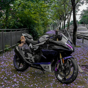 Nueva Motocicleta Deportiva Nacional IV <span class=keywords><strong>250</strong></span>, Versión de <span class=keywords><strong>Pista</strong></span> GSX Refrigerada por Agua con Inyección Electrónica de Combustible, Motocicleta NK250 Little Baboon - Product Image 5