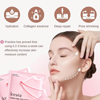 Masque Gel Collagène Rose PDRN Marque Blanche, Traitement Facial Hydratant et Raffermissant au DNA de Sodium et Niacinamide, OEM