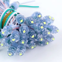 Pixel LED 12V 12mm Monochrome et Pleine Couleur, Étanche IP65, Durée de Vie 30000h, Pour Extérieur