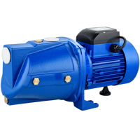 Pompe à eau à jet de surface basse pression DAYUAN 1-2 HP à enroulement en cuivre pour usage domestique avec options personnalisées