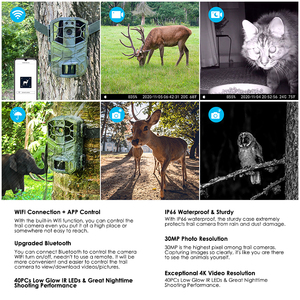 <span class=keywords><strong>Caméra</strong></span> 4K 30MP activée par le mouvement Vision nocturne étanche Trail Guard WiFi Digital Wildlife Outdoor Hunting Trail Camera - Product Image 6
