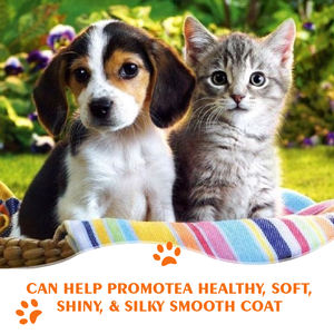 TOUCHPAW Champú Limpiador <span class=keywords><strong>para</strong></span> Cachorros <span class=keywords><strong>y</strong></span> Gatitos Tratamiento de Piel Sensible sin Lágrimas <span class=keywords><strong>para</strong></span> Perros Gatos Abrigo Cuidado de Mascotas Champú Orgánico - Product Image 4