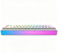 Clavier mécanique filaire USB Type-C rétroéclairé RGB à 68 touches avec interrupteurs magnétiques pour ordinateur de bureau, ordinateur portable, jeux