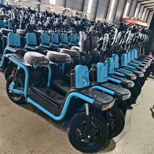 Bicicleta Eléctrica de Larga Distancia para Adultos con Motor Personalizado de 500W/800W y Batería de Plomo-Ácido de 60V - Product Image 1