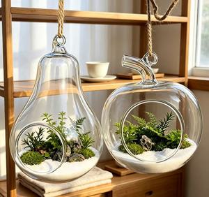 Nuovo Arrivo: Vaso in Vetro a Forma di Frutta Personalizzato, Terrario in Vetro Trasparente <span class=keywords><strong>da</strong></span> Appendere per Decorazione di Casa, Finestre, Pareti e Giardino - Product Image 4