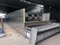 Congélateur tunnel entièrement automatique et efficace 100kg/h-3000kg/h avec certification CE, équipement de congélation à refroidissement rapide