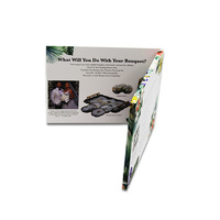 Brochure Video LCD