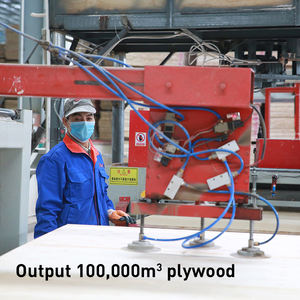 Lámina de Madera Contrachapada de Abedul de Primera Calidad, 8 pies x 4 pies, 3 mm, Ligera, E0, Formaldehído, Ecológica, Diseños de Puertas de Madera Contrachapada para Autocaravanas - Product Image 5