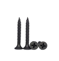 Drywall Screw Phillips Head Screws Dry Wall Nail
