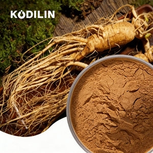 Ginseng en poudre de <span class=keywords><strong>racines</strong></span> adventices de ginseng cultivé en cellule végétale, 10g, le mieux noté, pour homme, favorise la circulation sanguine, à base de ginsénosides - Product Image 1