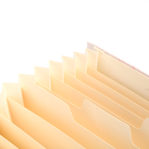 Thiết kế mới A4 kích thước các tông tài liệu tổ chức mở rộng thư mục tập tin biểu tượng tùy chỉnh hiệu quả nộp hồ sơ văn phòng phẩm bán buôn nhà máy - Product Image 6