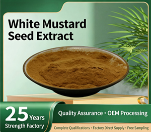مستخلص بذور الخردل الأبيض 10:1، متوفر من مصنع شانشي، مستخلص بذور الخردل، مسحوق بذور الخردل الأبيض - Product Image 2