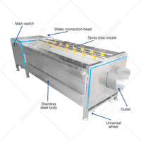 Oceaan Industriële Aardappel Borstelwasmachine Apparatuur Trommel Fruit Wortel Plantaardige Wortel Wassen Palm Dadelreinigingsmachine