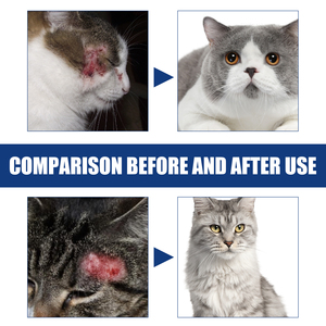 Gel de Soin des Plaies pour Animaux de Compagnie, Gel Réparateur Imperméable pour Plaies de Chiens et Chats - Product Image 6