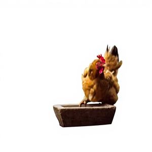 Grillage en acier inoxydable soudé à mailles carrées vertes pour treillis de jardin et plantes, avec filet à câbles à embouts et service de découpe - Product Image 1