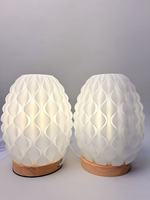 Lampe à motif géométrique tendance imprimée en 3D, conçue par l'IA, en plastique ignifuge et écologique, texture fine, lumière élégante