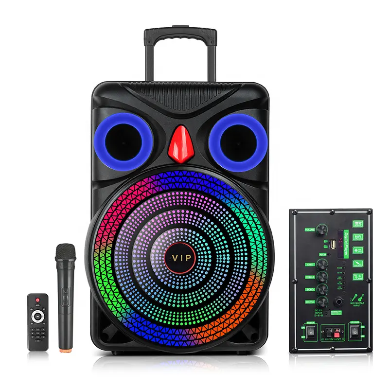 15-Inch Portable Bluetooth Boombox RGB Light Subwoofer Card Reader Battery Powered Plastic Outdoor Square Dance Karaoke Speaker