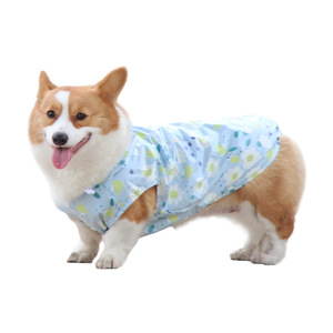 Impermeable para Perro Corgi, Delgado, de Dos Patas, con Estampado Floral, Ropa para Mascotas, para las Cuatro Estaciones, Ropa para Perros Pequeños - Product Image 5