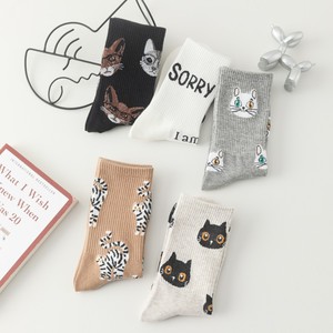 2026 Chaussettes en coton mignonnes à motif <span class=keywords><strong>personnalisé</strong></span>, motif <span class=keywords><strong>chat</strong></span> de dessin animé, chaussettes basses créatives type bateau, socquettes - Product Image 4