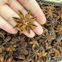 Graines d'anis étoilé séchées naturelles de marque Yongjiang, en gros, prix personnalisé, provenance Guangxi, pour la vente en gros directe d'usine