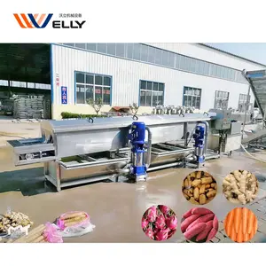 Fresh fruit vegetable cleaning sorting packing line/ commercial root vegetable washing line