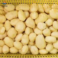 Fabrieksleverancier aardappelwas-, schil- en snijmachine, op maat gemaakte aardappelproductielijn