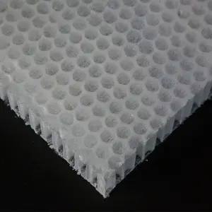 Polypropylène Honeycomb Core Panneau