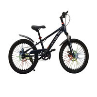 Vélos pour enfants en gros de 18/20/22 pouces avec cadres en acier robustes ; hauteur réglable, adaptés aux enfants de 6 à 16 ans. Frein à disque.