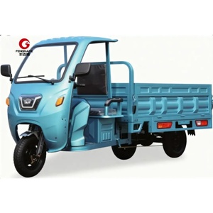 インテリジェントに設計された手頃な価格の屋根が付いているtrike