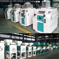 Machine complète de traitement de la farine de maïs avec fonctions de nettoyage et de décorticage, et ligne de production de mouture du blé.