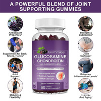 Gummies de soutien articulaire pour adultes en marque blanche OEM/ODM, Glucosamine Chondroïtine, 60 Gummies/Flacon, Durée de conservation de 2 ans