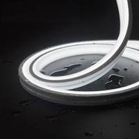 Bande lumineuse néon en silicone haute puissance 24V TW-N1010, flexible, avec gaine LED, étanche IP67, pour extérieur