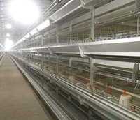Cage de ferme pour poulet, équipement de poulailler, système Cage pour élevage de volaille
