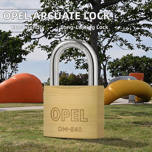 Cerradura de Puerta con Llave LIANYI LYS2, Impermeable, Duradera, Antioxidante, Pulida, de 40 mm, Candado de Acero Inoxidable 304/316 - Product Image 2
