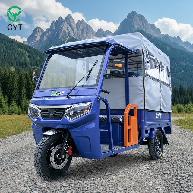 Factory Supply EEC Certified Adult Electric Tricycle with Canopy 3 Wheel Recreational Scooter for Adults