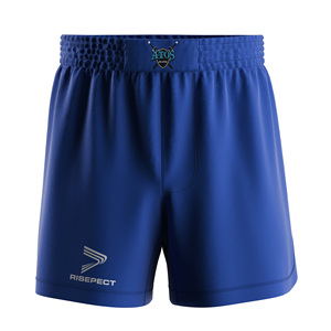 Conjunto de Rashguard y Pantalones Cortos de MMA para Hombre, Anti-rozaduras, Costuras Planas, Elástico y Duradero para Grappling sin Gi - Product Image 6